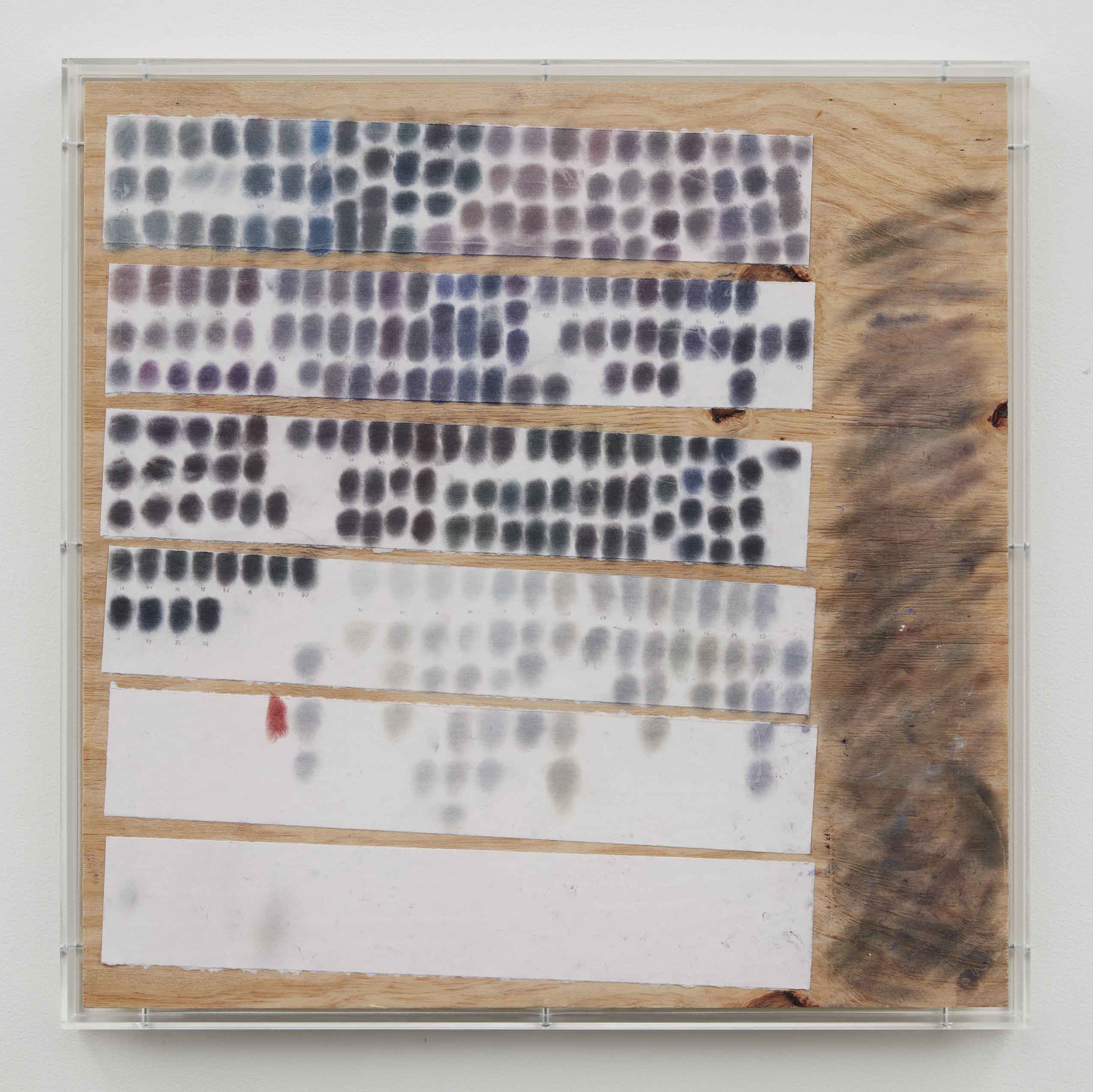 Elise Nguyen Quoc, <i>Drawing II</i>, 2026. Pigment on paper mounted on wood, in plexibox, 25 x 25 x 2 in (63.5 x 63.5 x 5.1 cm)